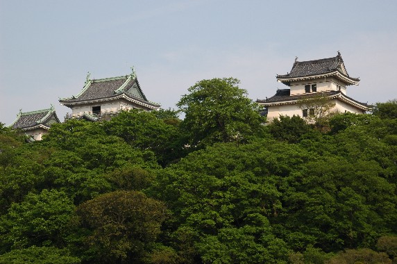 　　和歌山城　　６_b0093754_22354045.jpg