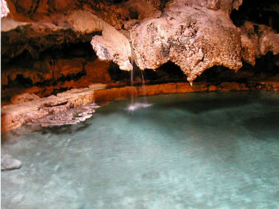 b0000372_41837.jpg