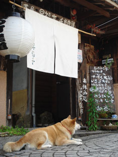 しまなみ海道～はな尾道のワンコに出会うの巻き～_e0012580_21451112.jpg