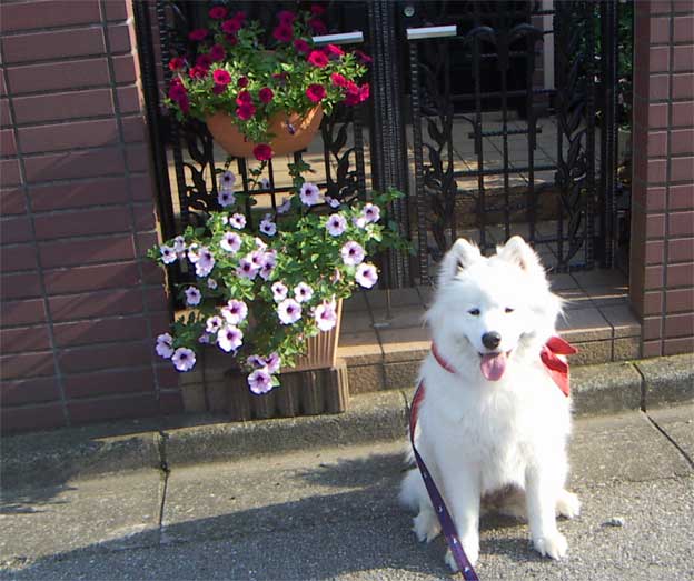 e0018604_17403613.jpg