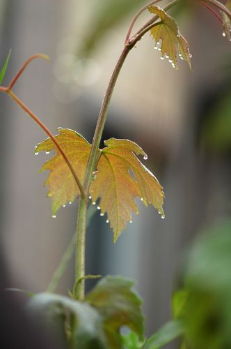 気持ちのいい朝！♪_f0012718_7113980.jpg