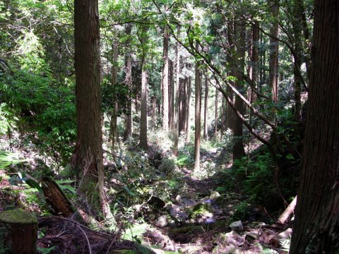c0016259_22194593.jpg