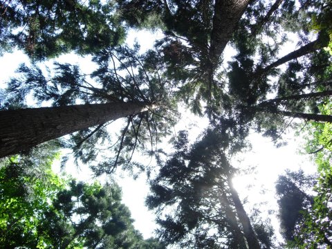 c0016259_2313035.jpg