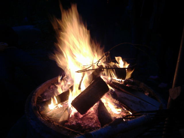 e0064166_434973.jpg