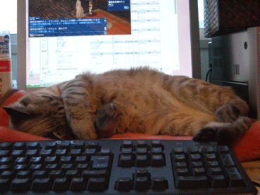 b0039168_14572736.gif