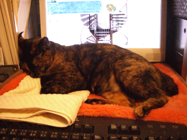 b0039168_1505477.gif