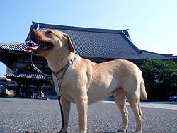 b0091575_84913.jpg