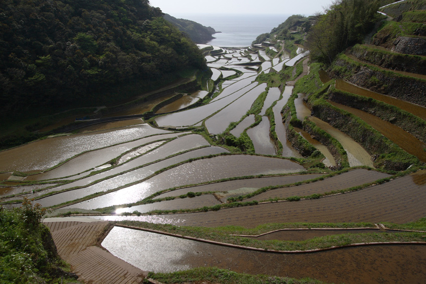 唐津～呼子～玄海町～福島町（土谷）４_c0007190_21462225.jpg