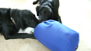 c0050400_1241951.jpg