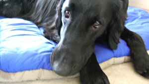 c0050400_1282638.jpg