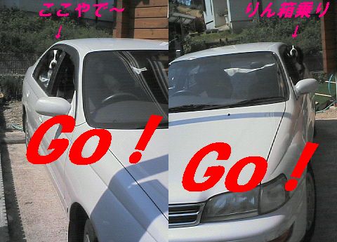 ５月２5日　晴　『代車でGｏ！Gｏ！』の巻_b0090201_10494787.jpg