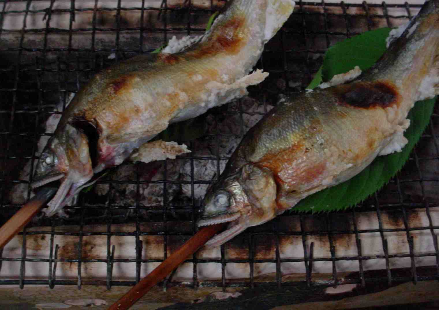 季節のお料理　「鮎の塩焼」_f0040201_2442054.jpg
