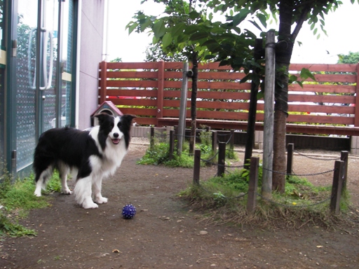 動物園_f0034602_19262869.jpg