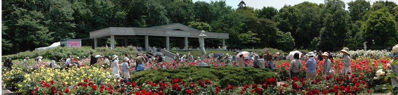 神代植物園_c0051105_823591.jpg