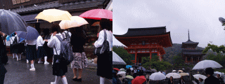 Feel Kyoto No.2　－京都半日散歩－_d0014408_1173066.gif