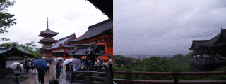 Feel Kyoto No.2　－京都半日散歩－_d0014408_1173679.gif