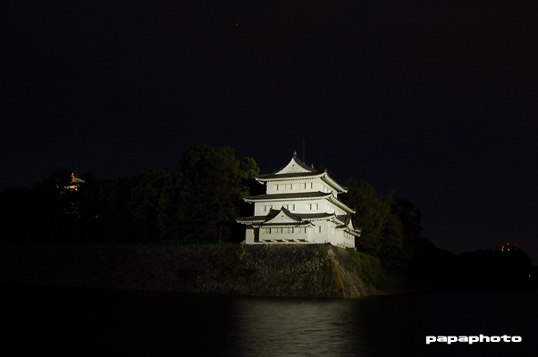 Nagoya castle_f0041908_12494057.jpg