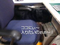 c0012120_12384357.jpg