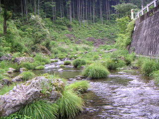 d0063538_21534512.jpg