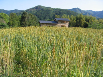 f0089352_618548.jpg