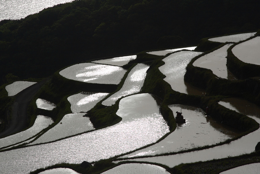 唐津～呼子～玄海町～福島町（土谷）５_c0007190_20562520.jpg