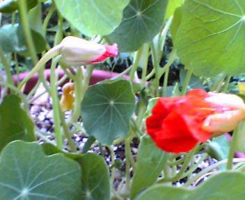 Slowly_b0079097_222936.jpg
