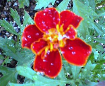 Slowly_b0079097_2233943.jpg