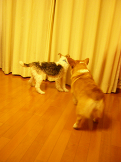 f0077097_20453171.jpg