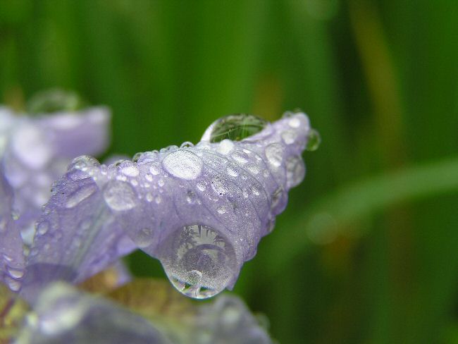 水晶の中に_a0027125_752384.jpg