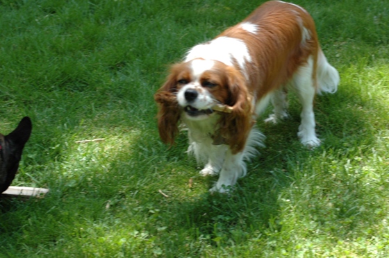 c0055857_3506.jpg