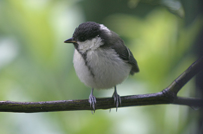 c0006870_21364937.jpg
