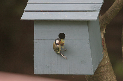 c0006870_21381385.jpg