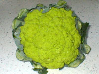 a0005476_21392844.jpg