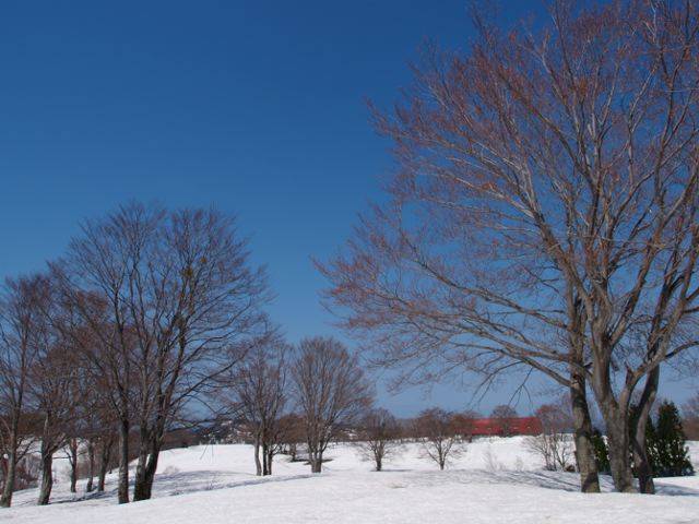 春まだ浅き、大厳寺。_a0025576_22131692.jpg