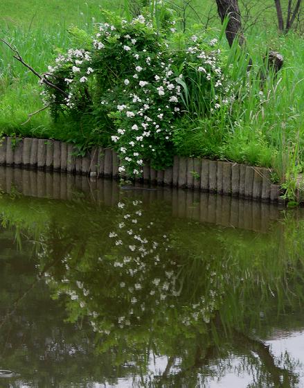 a0044076_21291568.jpg