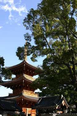 <第三番 紫金山小松院 法楽寺>_a0045381_6545530.jpg