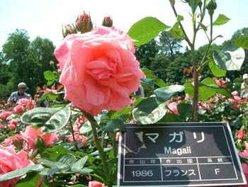 深大寺植物園_f0022292_20265817.jpg