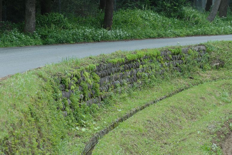 クロツ・ウラゴ探し日田市・大分県_b0093800_19225947.jpg