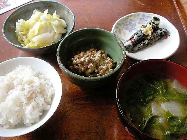 二日酔いの朝は味噌汁_e0061902_424763.jpg