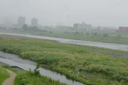 b0041903_1211426.gif