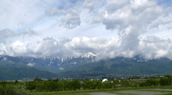 a0039307_15251562.gif