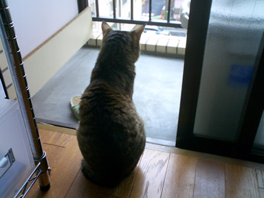 b0083708_23244812.jpg