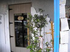 f0008510_234237100.jpg