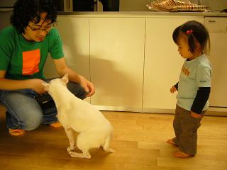 f0005334_351285.jpg