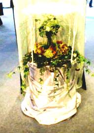f0015148_05562.jpg
