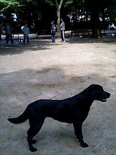 c0061964_17333438.jpg