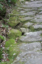 c0053898_1412573.jpg