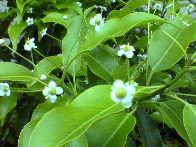 b0087914_1637034.jpg