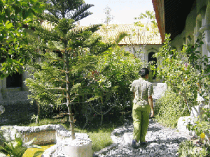d0038319_1438529.gif