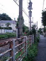 ＊ハワイアンの心＊　　2006,5,28_a0030038_23335270.jpg